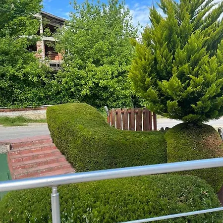 Byala Dreams Apartament Bjała
